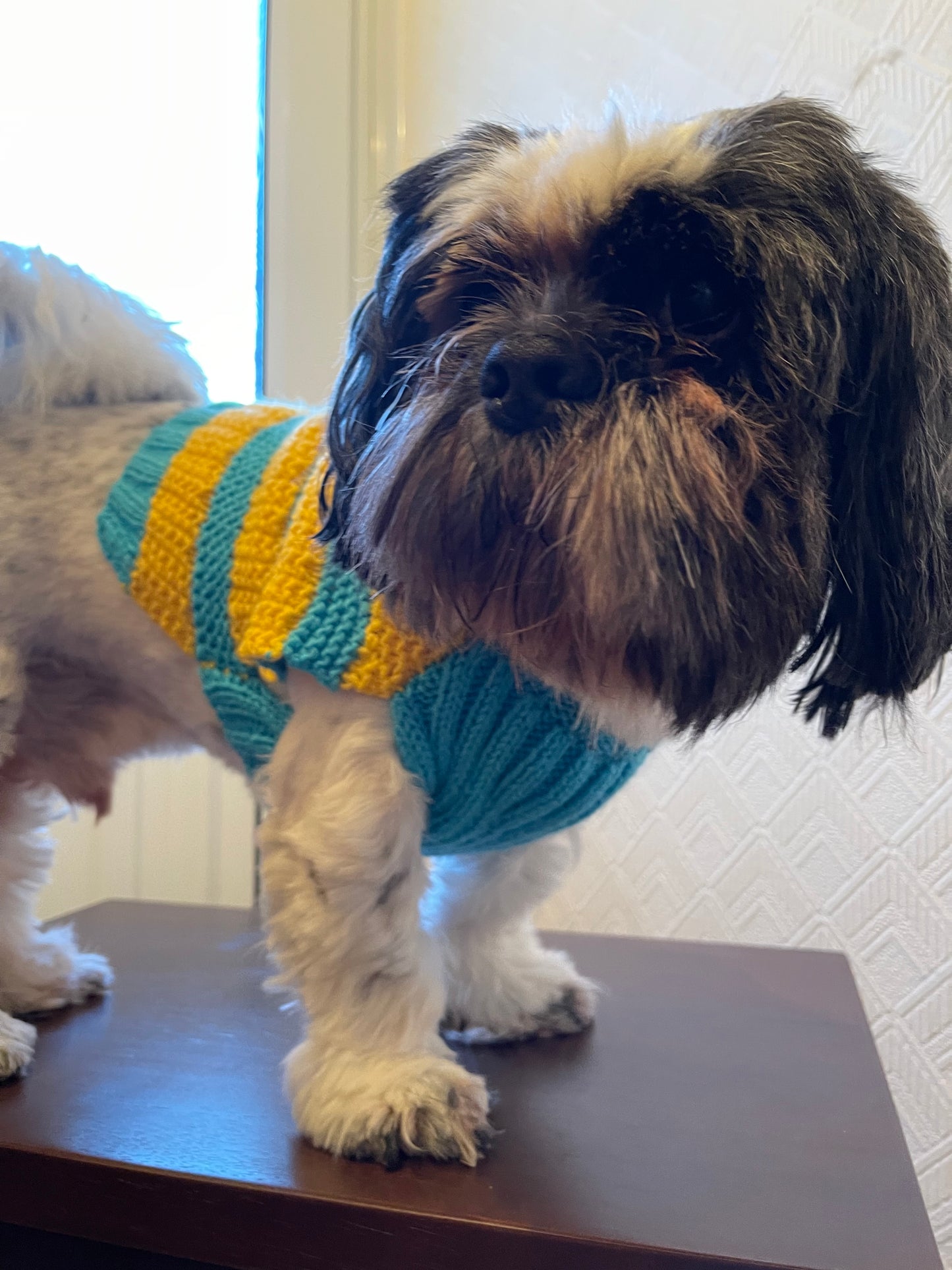 Blue & Yellow Stripe Jumpers