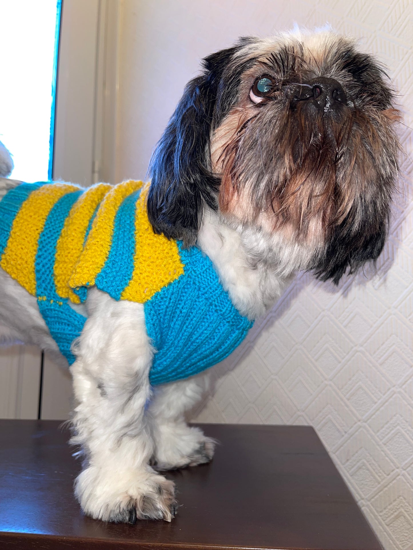 Blue & Yellow Stripe Jumpers