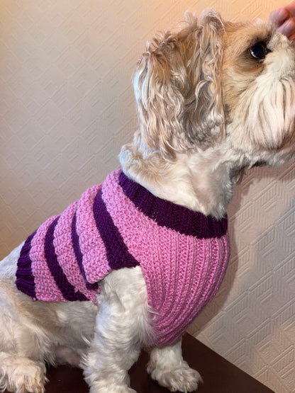 Purple Stripped Jumper