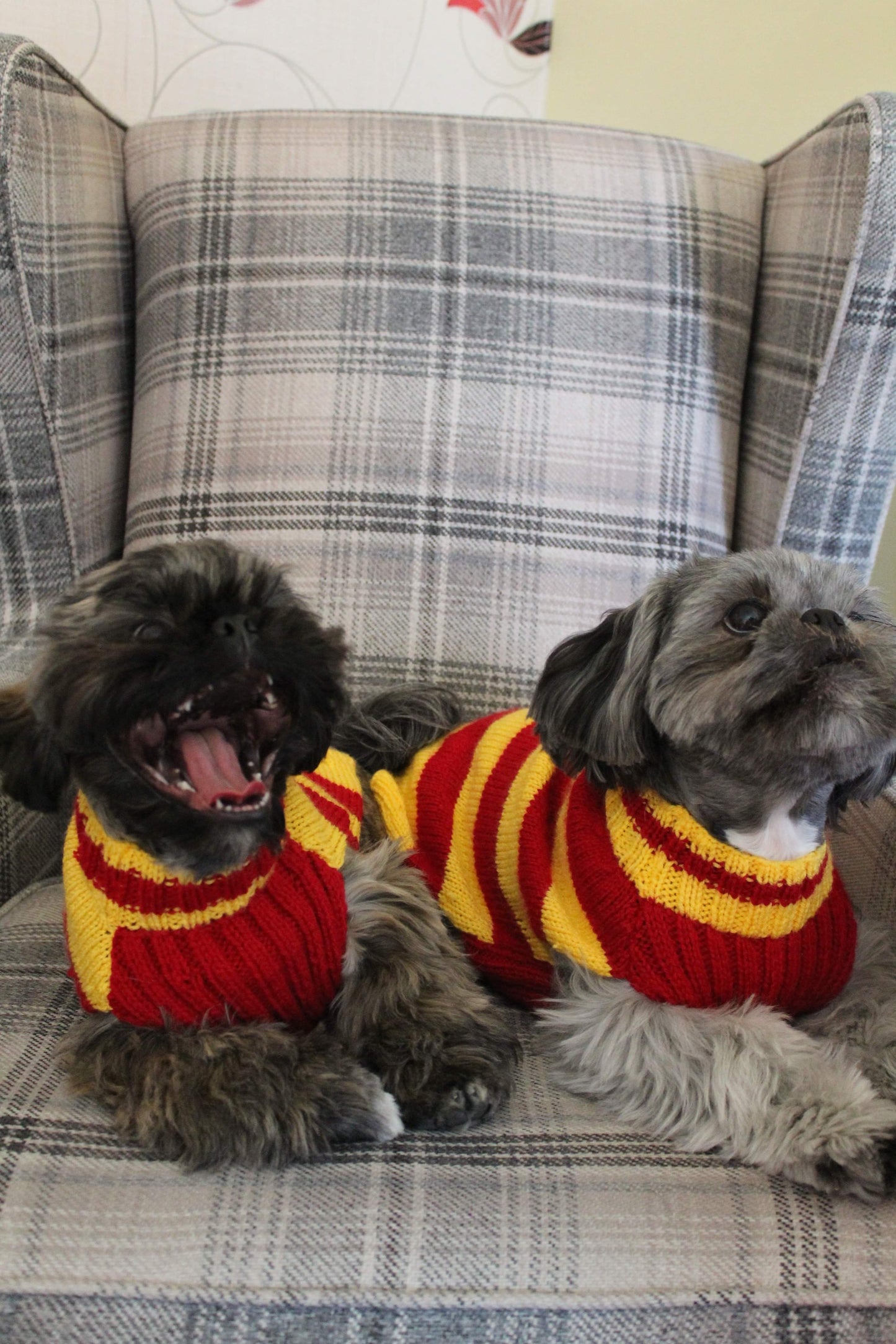 Griffindor Jumper