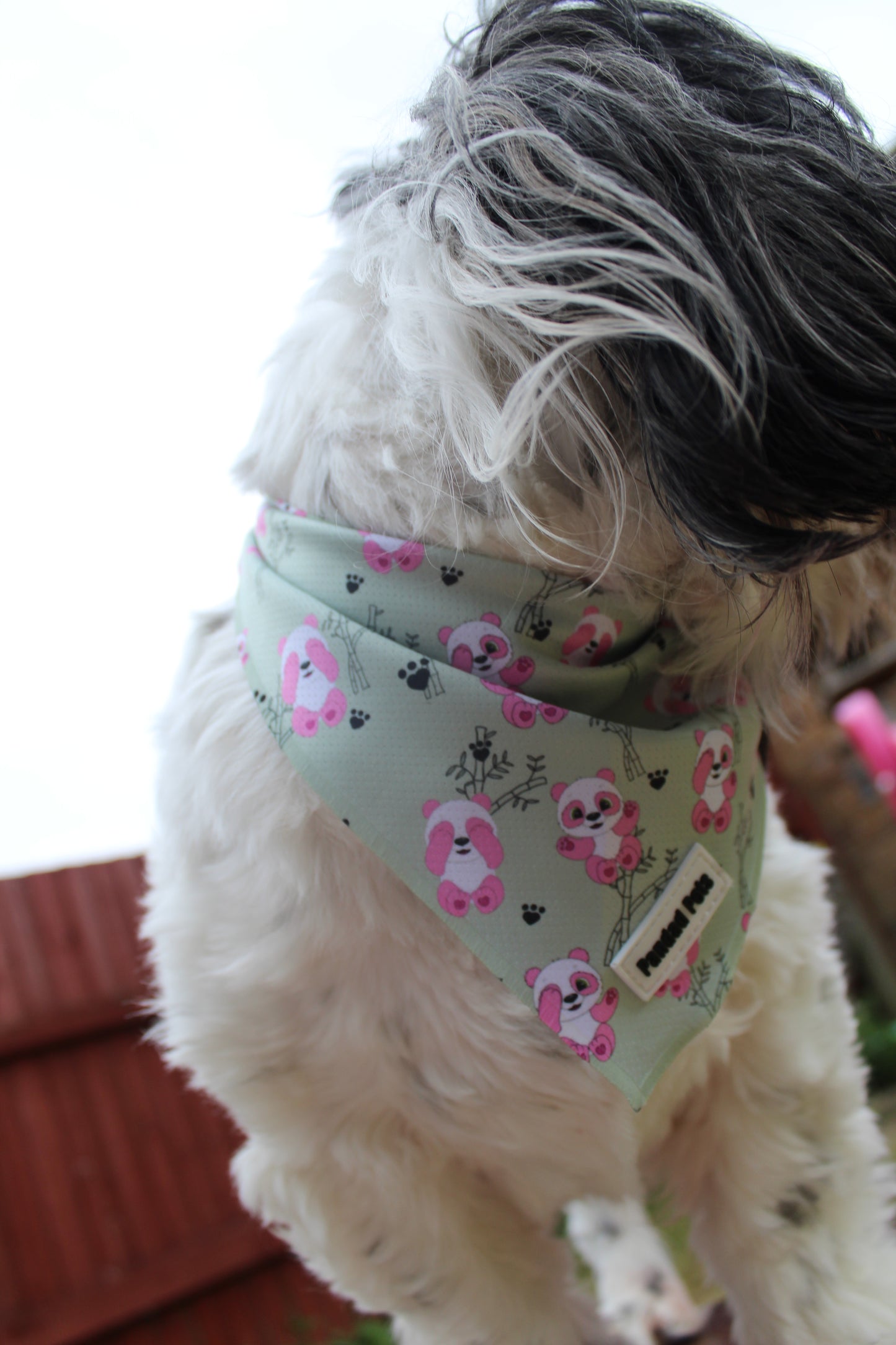 Dog/Cat Bandana: Niah